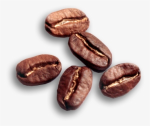 A Highlight Of The Festival Last Year, The Lab Sessions - Caffeine