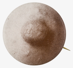 Nipple - Museum