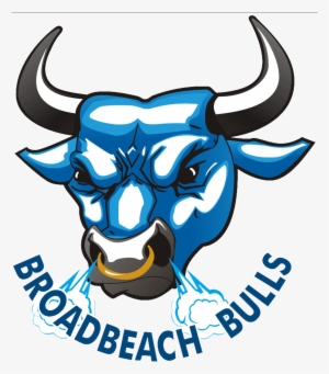 Bowlers Interstate And Overseas - Blue Bulls