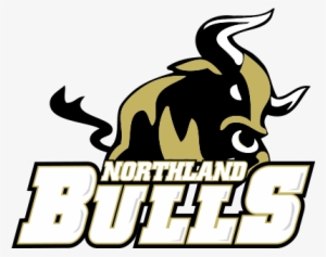 Northland Bulls