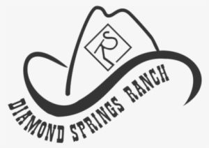 Diamond Spring Cattle - Line Art