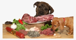 Dog And Raw Food