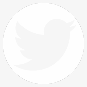 White Circle Outline Png