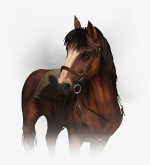 Roach - Witcher 3 Roach Png