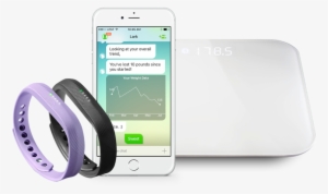 Grouping Purple Fitbit No Ihealth Logo Dpp Bundle Copy - Fitbit