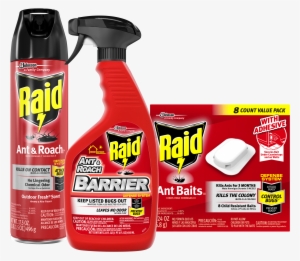 Raid Ant Baits Iii, 8 Count