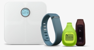 It Took A While To Improve Upon The Humble Pedometer - Fitbit Flex Grey Promopack (2 Wristbands Included)