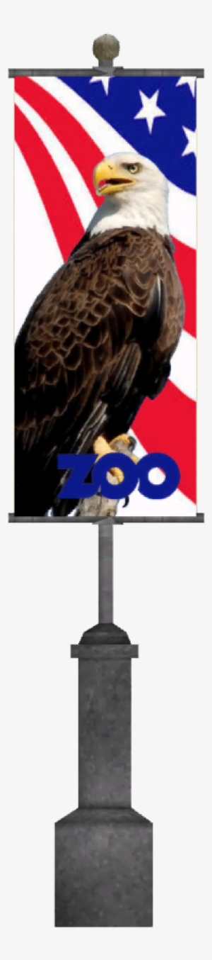 North American Banners - Bald Eagle