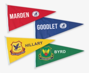 Picture - House Flags For School