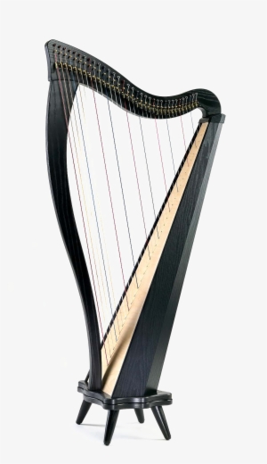Harp Transparent - Dusty Strings Ravenna 34 Black