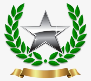 Platinum Star - Olive Branch Symbol Peace