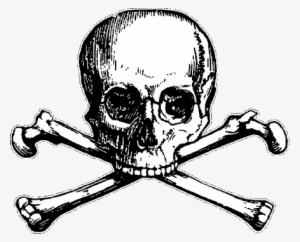 Image Hades Skull Logo Png Camp Half - Skull And Bones Png