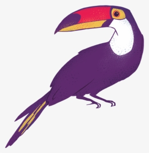 Clipart About Amaz Nia Font Amaznia Illustrations - Toucan