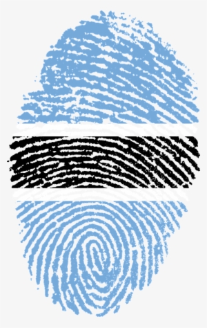 Qualities To Look For In Immigration Lawyers - Botswana Flag