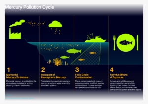 Svg Royalty Free Download Chemical Health Index Ecological - Mercury Pollution Cycle