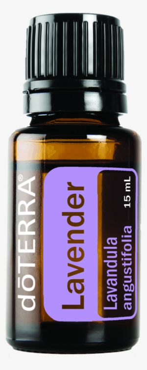 Doterra Lavender Png - Doterra Lavender Essential Oil 15 Ml