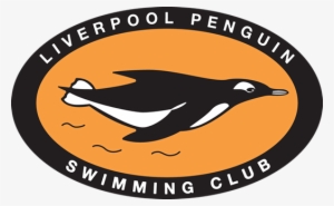 Us Army Military Police