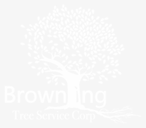 Bts Logo White 500 - Logo