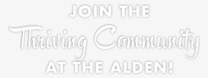 The Alden Is A Social Student Community Conveniently - Calligraphy
