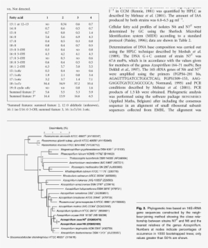 Cellular Fatty Acid Composition Of Corn Rhizosphere - Animais Peçonhentos