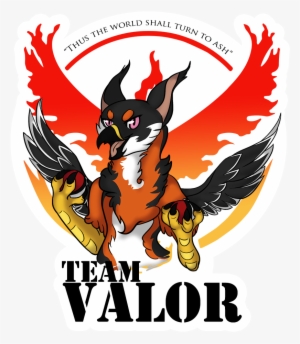 Team Valor - Team Valor Black
