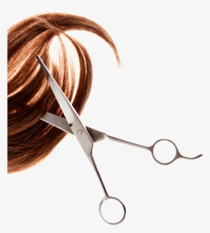 Redken Specialist - Hairstyle