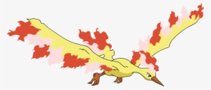 146moltres Ag Anime - Pokemon Moltres