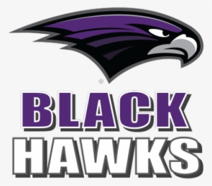 Bh Black Hawks - Bloomfield Hills High School Logo