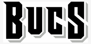 Tampa Bay Buccaneers Iron Ons - Tampa Bay Buccaneers Logo
