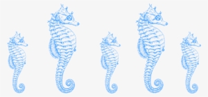 Seahorse Border Clip Art - Seahorse Drawing Shower Curtain