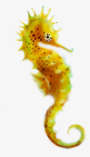 Free Icons Png - Northern Seahorse