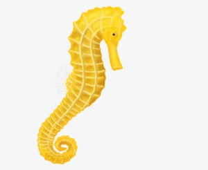 Free Icons Png - Sea Horse Png Transparent