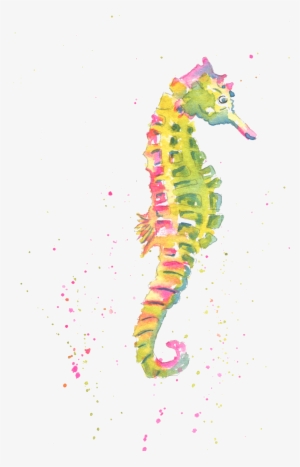 Home>note Cards>summer Theme Note Cards - Northern Seahorse