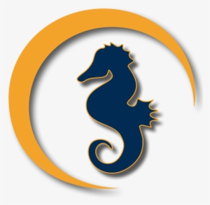Logo-seahorse - Seahorse