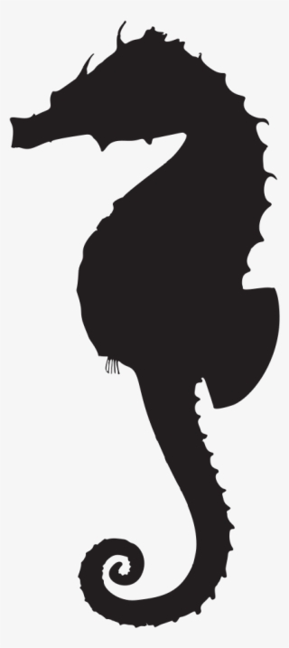 Medium Image - Black And White Seahorse Images Clipart