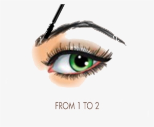 19 Eyelash Clip Transparent Library Eyebrow Threading - Cosmetics