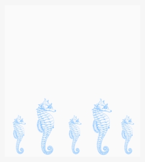 Seahorse Border Svg Clip Arts 534 X 598 Px
