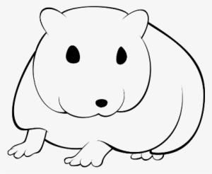 Template Ww Zps80aa39f2 Template Ww Small Zps7f2c7700 - Outline Of A Hamsters