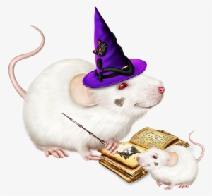 Hamster Clipart Forest Animal - Kangaroo Rat