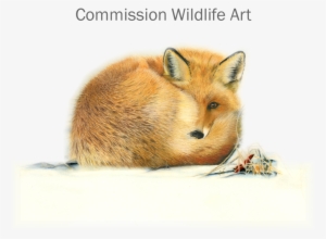Drawn Hamster Fox - Art