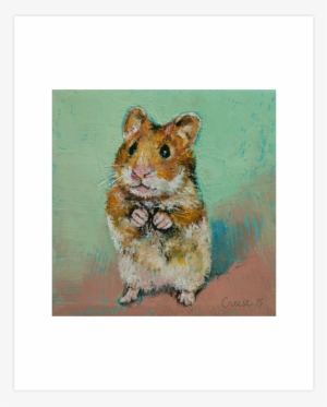 Find The Perfect Hamster Ball And Save Up To 70 Off