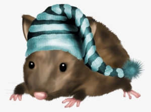 Mouse, Tubes, Png - Bonne Nuit Rat