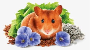 Hamster - Brit Animals Hamster Complete