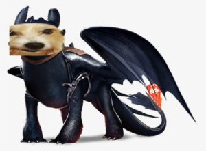 Character Toothless