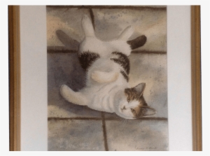 Sandra K Brunk, Black And White Tabby Cat On His Back, - Watercolor Painting