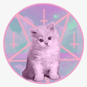 Special Episode Of Pastel Grunge Coming Soon - Pastel Goth Cat
