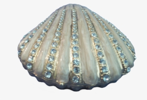Best Seashell Clipart Png - Shell Transparent Background
