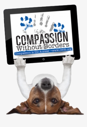 We Are In Urgent Need Of Three To Four Ipads To Educate - Dog Lifting Weights Png