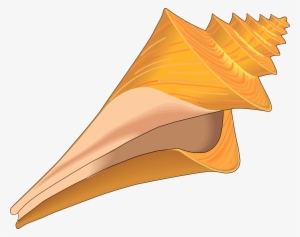 Clip Art Black And White Stock Collection Of Cute Sea - Sea Shell Clipart Free