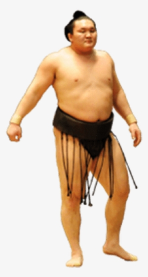 Wrestling Sumo Wrestler Clip Art Clipart Sumo Wrestling Png